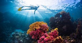 Выбор гидрокостюма для дайвинга